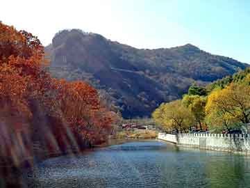 新澳门期期准精准，餐巾纸机器